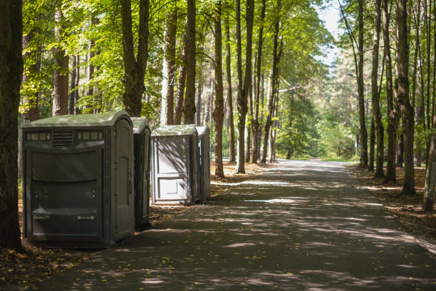Portable Toilet Options We Offer in Wewahitchka, FL